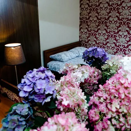 Guest house Zacisze